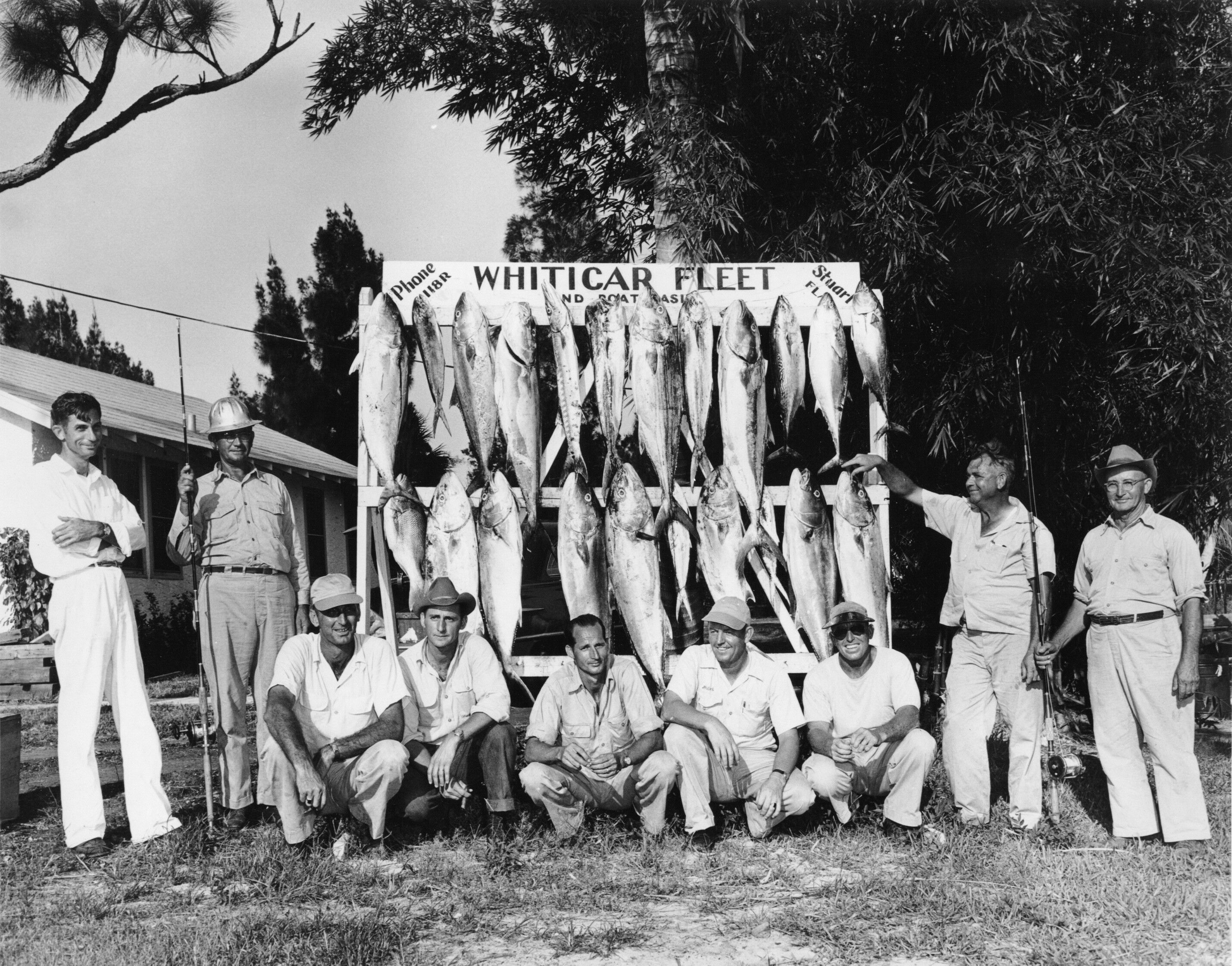 Click to See Next Image